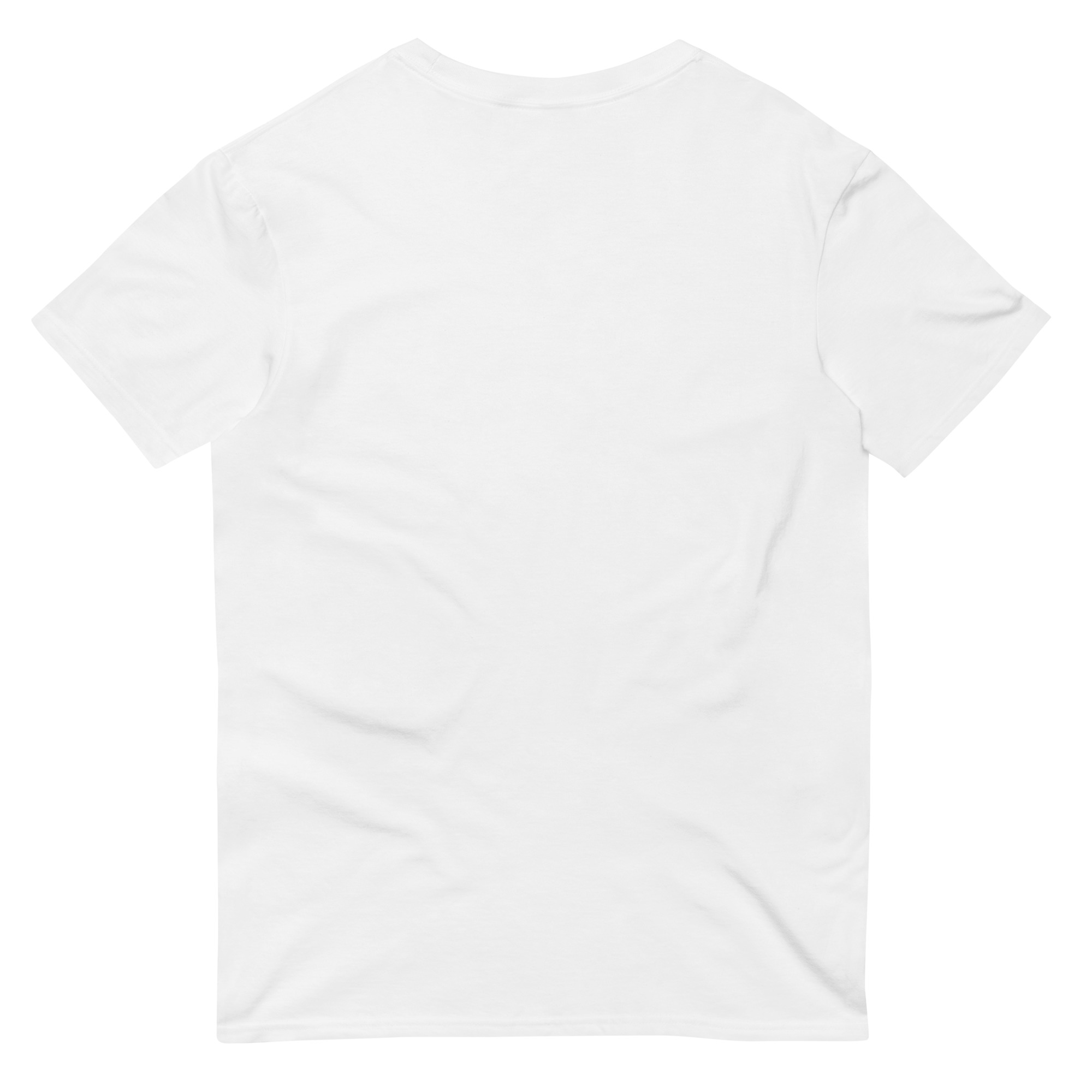 unisex-lightweight-t-shirt-white-back-643aff25f1cc8.jpg